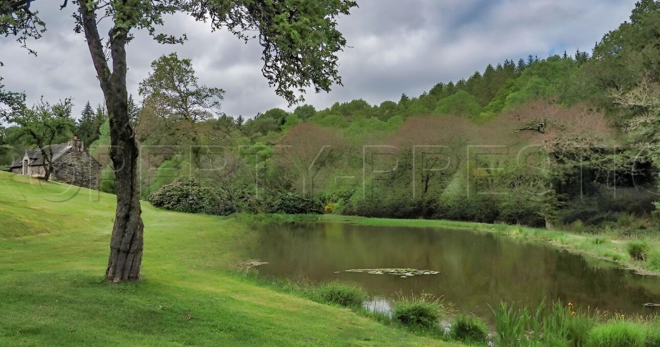 Photos 18 - Prestigious - BRETAGNE PROPRIETE AVEC SON MOULIN 20 HA ETANG