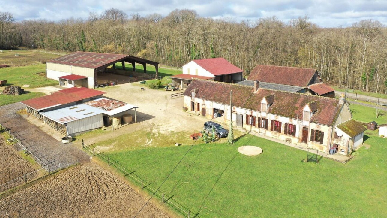 Photos 2 - Équestre - Charmante propriété équestre de 11 hectares en Bourgogne