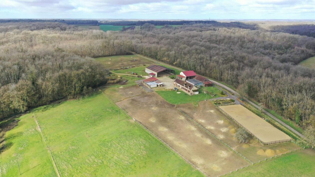 Photos 3 - Équestre - Charmante propriété équestre de 11 hectares en Bourgogne