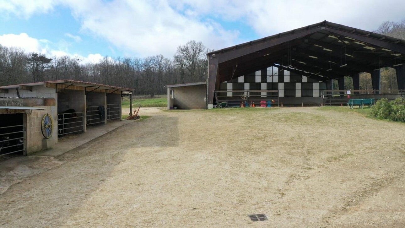 Photos 9 - Équestre - Charmante propriété équestre de 11 hectares en Bourgogne