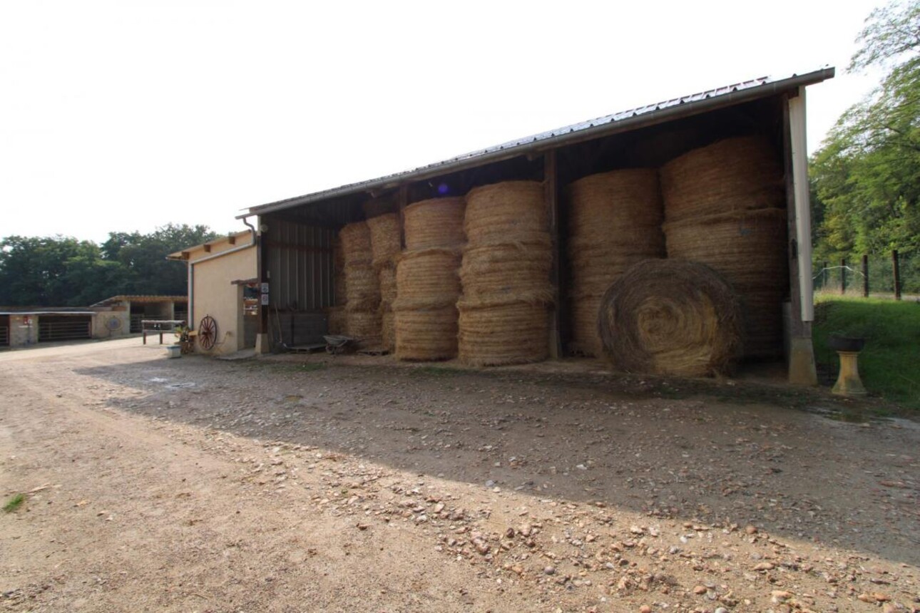 Photos 13 - Équestre - Charmante propriété équestre de 11 hectares en Bourgogne