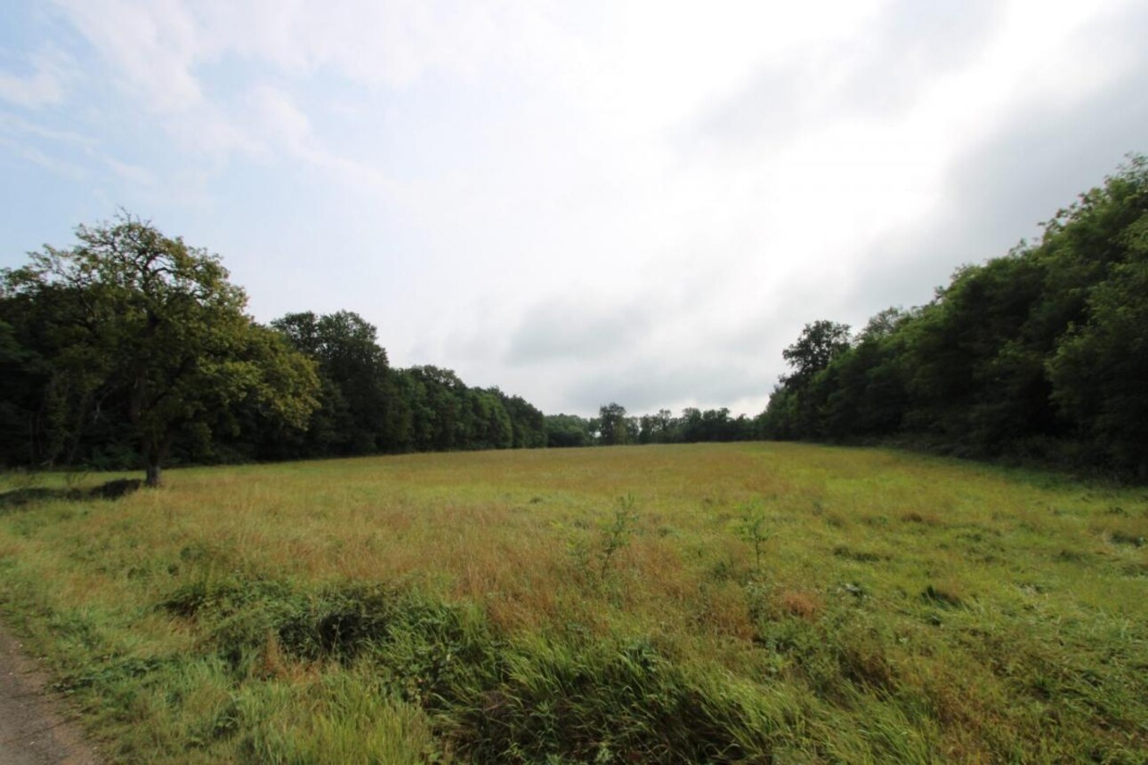 Photos 16 - Équestre - Charmante propriété équestre de 11 hectares en Bourgogne