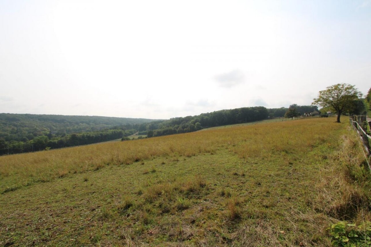 Photos 18 - Équestre - Charmante propriété équestre de 11 hectares en Bourgogne