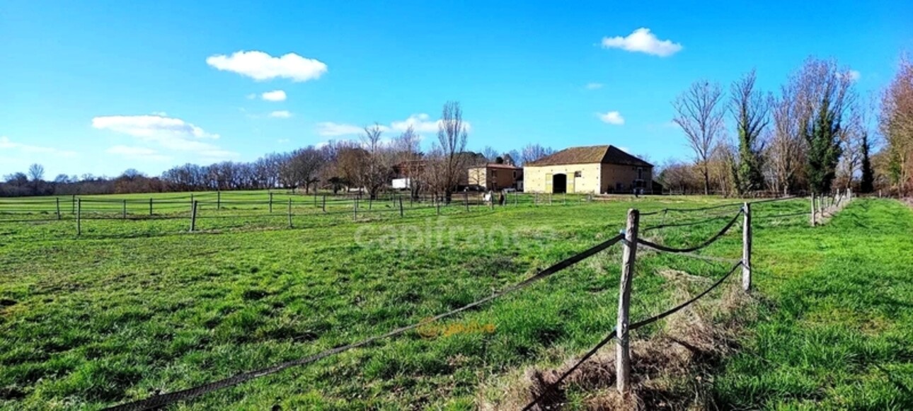 Photos 2 - Équestre - Propriété agricole à vendre 6 pièces, avec grange & ancien séchoir à tabac, sur terrain de 19 ha, à FLEURANCE (32)