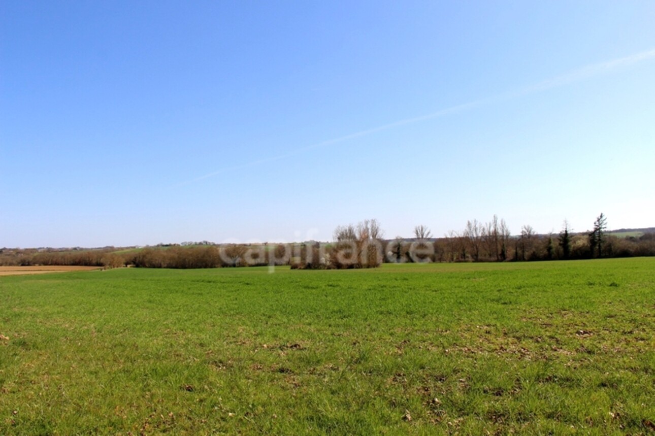 Photos 3 - Équestre - Propriété agricole à vendre 6 pièces, avec grange & ancien séchoir à tabac, sur terrain de 19 ha, à FLEURANCE (32)