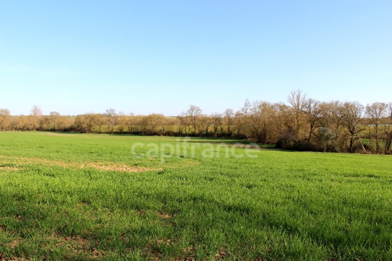 Photos 19 - Équestre - Propriété agricole à vendre 6 pièces, avec grange & ancien séchoir à tabac, sur terrain de 19 ha, à FLEURANCE (32)