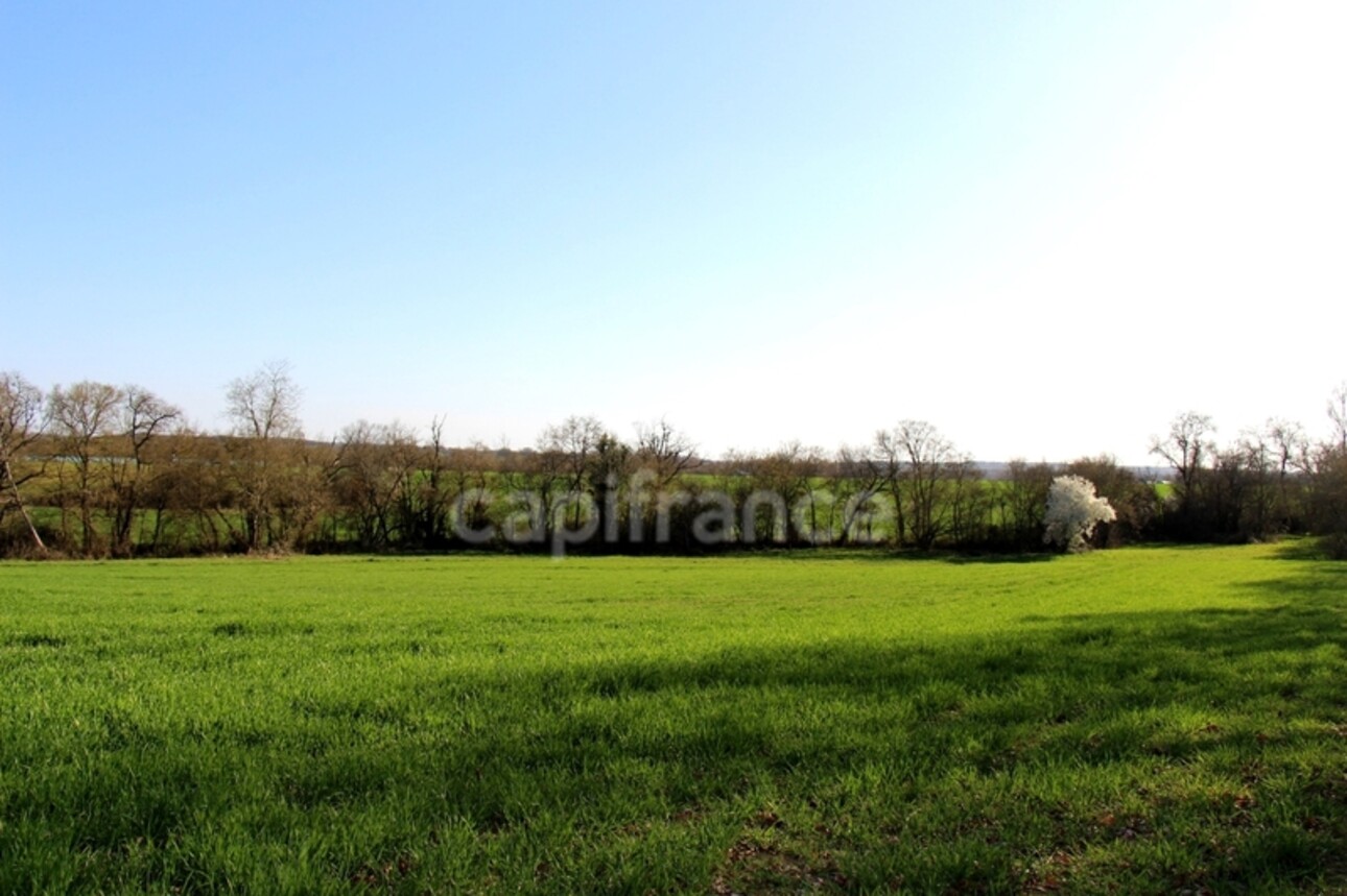 Photos 20 - Equestrian - Propriété agricole à vendre 6 pièces, avec grange & ancien séchoir à tabac, sur terrain de 19 ha, à FLEURANCE (32)