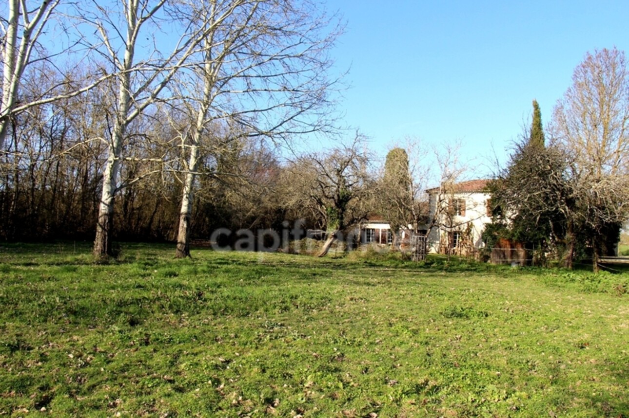 Photos 21 - Equestrian - Propriété agricole à vendre 6 pièces, avec grange & ancien séchoir à tabac, sur terrain de 19 ha, à FLEURANCE (32)