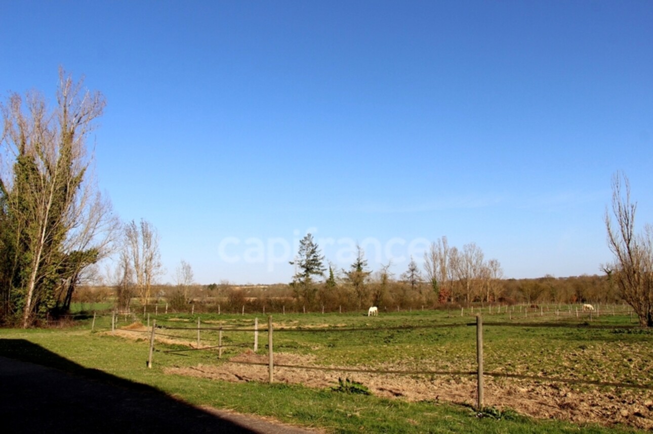 Photos 22 - Équestre - Propriété agricole à vendre 6 pièces, avec grange & ancien séchoir à tabac, sur terrain de 19 ha, à FLEURANCE (32)