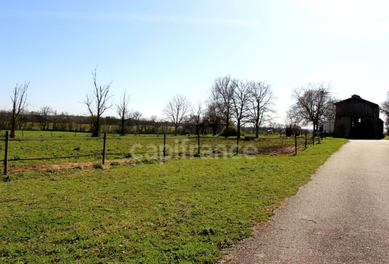 Photos 23 - Équestre - Propriété agricole à vendre 6 pièces, avec grange & ancien séchoir à tabac, sur terrain de 19 ha, à FLEURANCE (32)