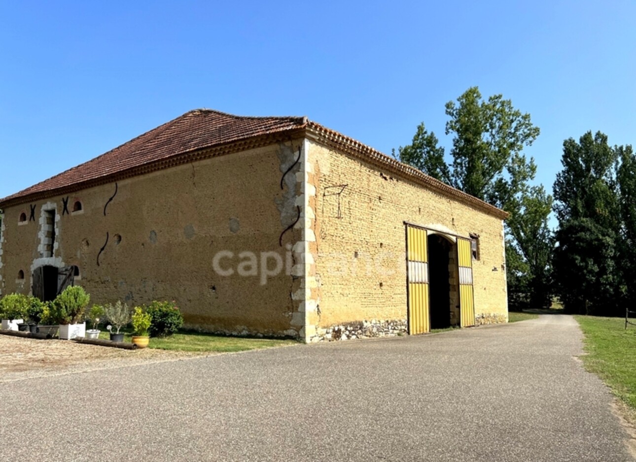 Photos 26 - Équestre - Propriété agricole à vendre 6 pièces, avec grange & ancien séchoir à tabac, sur terrain de 19 ha, à FLEURANCE (32)