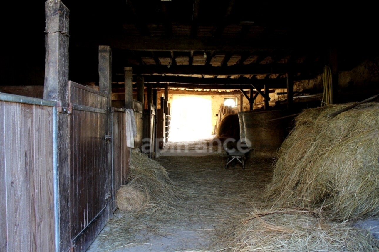 Photos 29 - Équestre - Propriété agricole à vendre 6 pièces, avec grange & ancien séchoir à tabac, sur terrain de 19 ha, à FLEURANCE (32)