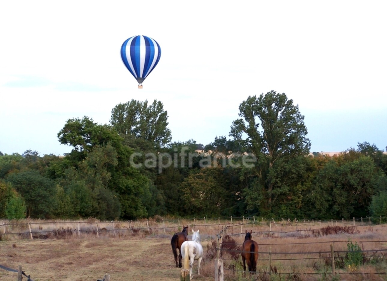 Photos 32 - Équestre - Propriété agricole à vendre 6 pièces, avec grange & ancien séchoir à tabac, sur terrain de 19 ha, à FLEURANCE (32)