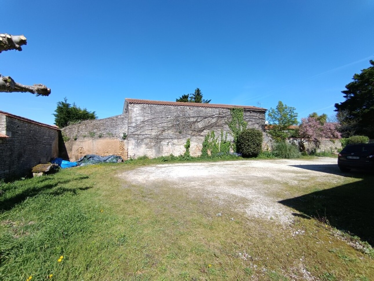 Photos 11 - Touristique - Immeuble 332m2 à vendre SAINT GEORGES D'OLERON, Dpt Charente Maritime (17