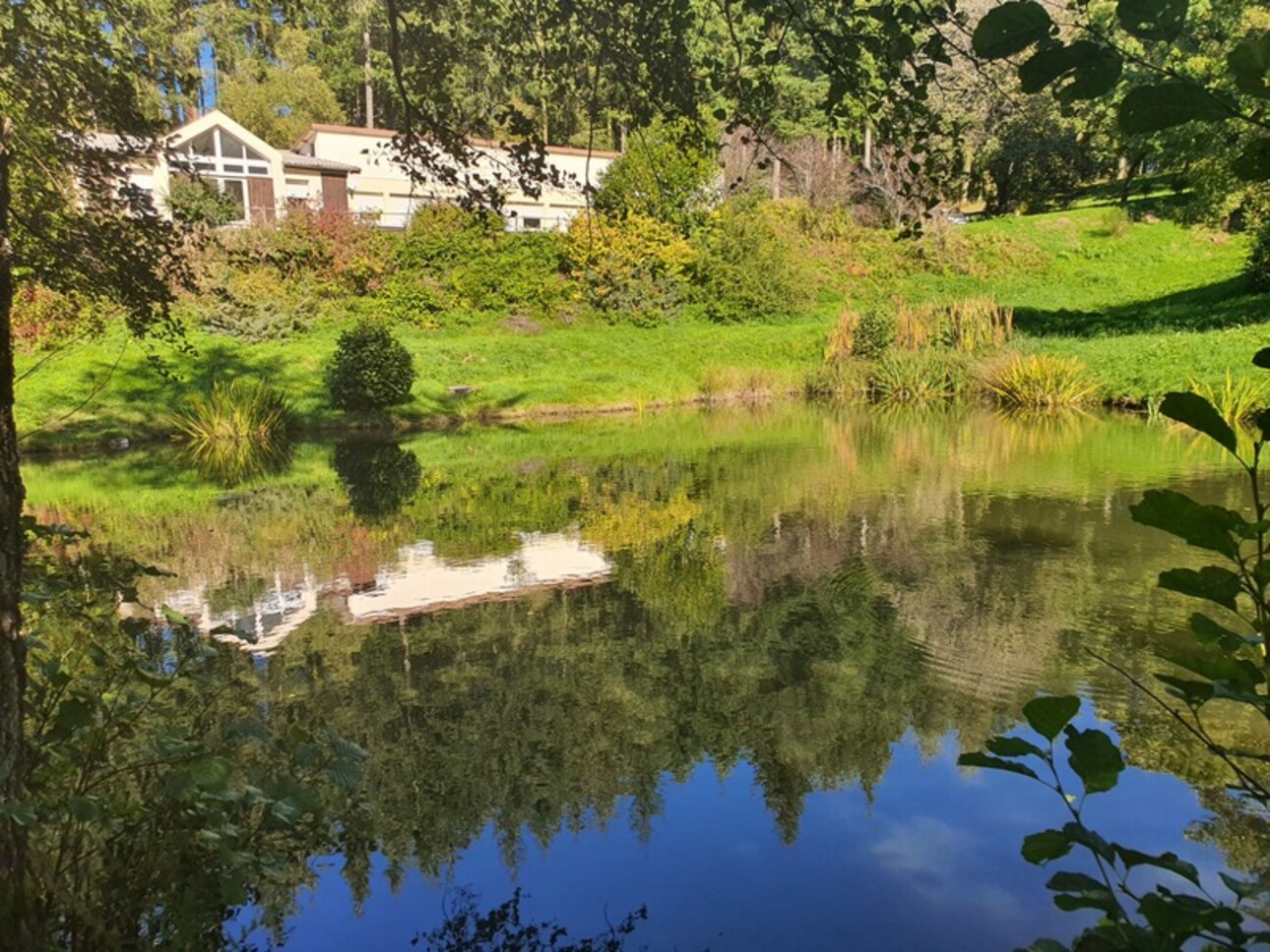 Photos 1 - Touristique - Dpt Vosges (88), à vendre proche REMIREMONT - DOMAINE PLAIN-PIED idéal GITE DE GROUPE avec ETANG