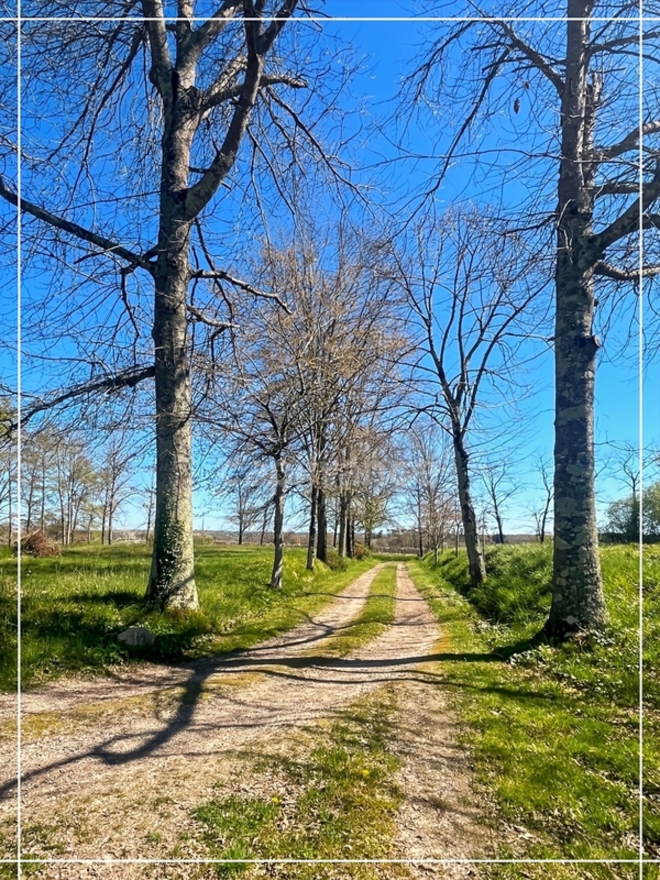 Photos 41 - Prestigious - NOGARO (32) nearby, BEAUTIFUL PROPERTY, hamlet type, NO NEIGHBORS, quiet, with outbuildings on 3 hec